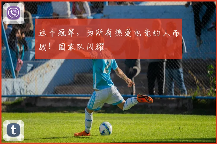 这个冠军，为所有热爱电竞的人而战！国家队闪耀