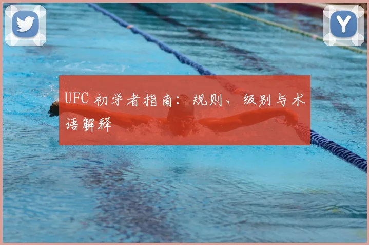 UFC 初学者指南:规则、级别与术语解释