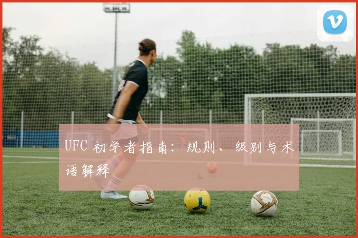 UFC 初学者指南:规则、级别与术语解释
